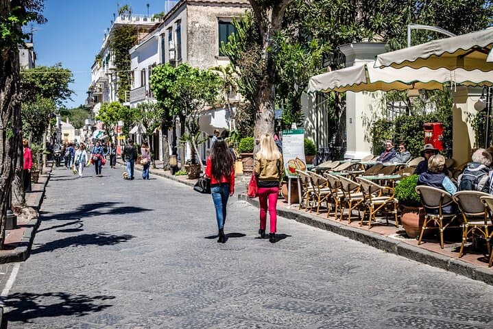 Ischia Private Day Stress Free Tour From Sorrento