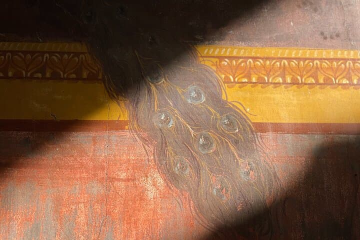 Villa Oplontis & Stabiae: discover the Hidden Treasures with your Archaeologist