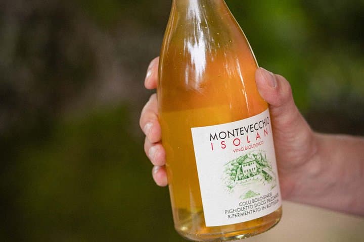 Montevecchio Isolani wine tasting experience