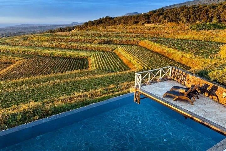 Etna by E-Bike and Wine Taste Experience