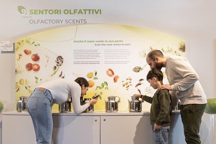 Oil museum and oil mill in Tuscany: tour and tasting