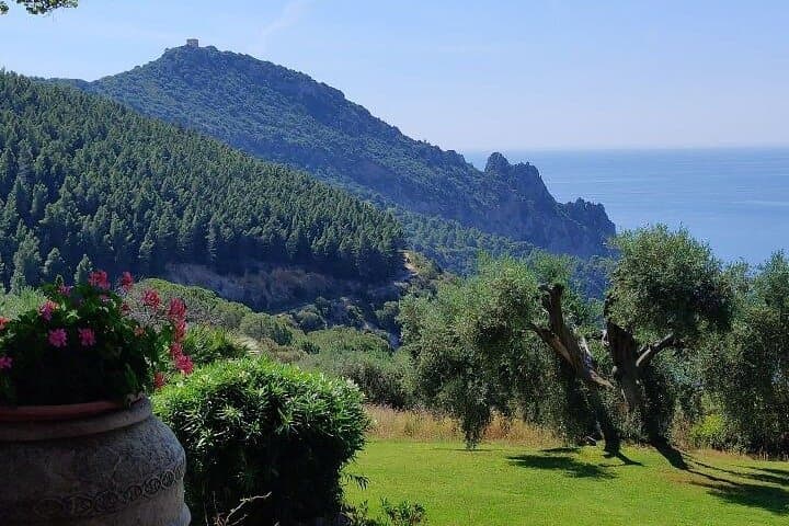 Private Premium Transfers based in Rome,we can travel all Italy