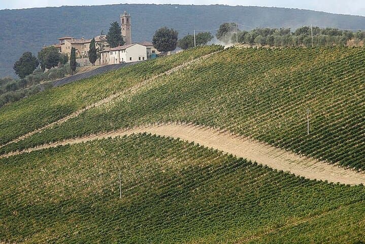 Private transfer from Pisa airport to Florence or from Florence to Pisa
