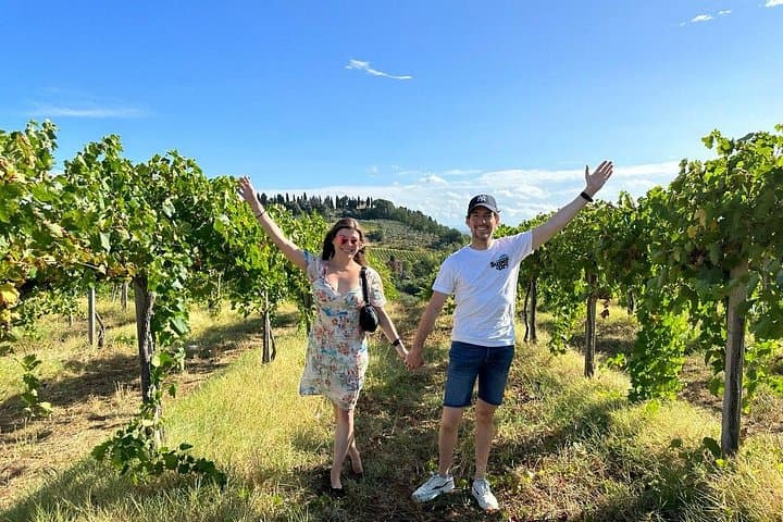 vineyards