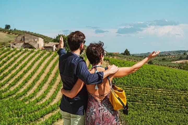 Private transfer from Pisa airport to Florence or from Florence to Pisa