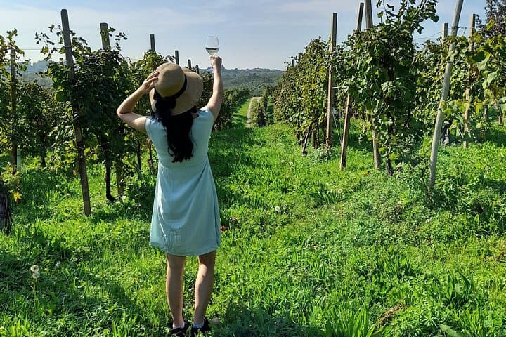 2 Guests Private Prosecco Road Tour All Inclusive from Venice