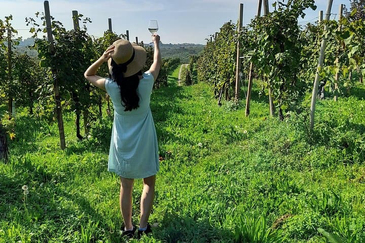 2 Guests Private Prosecco Road Tour All Inclusive from Conegliano