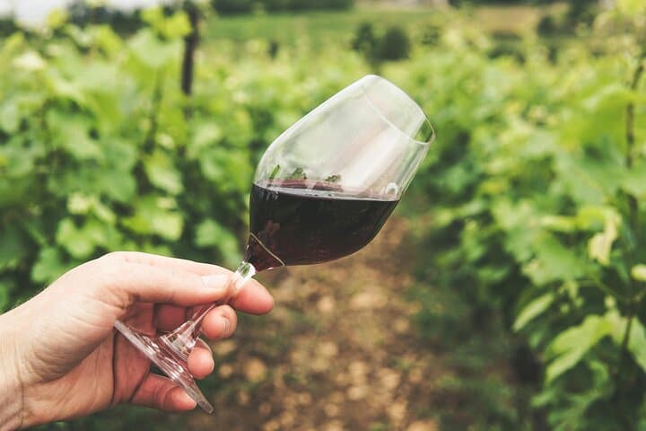 Wine tasting