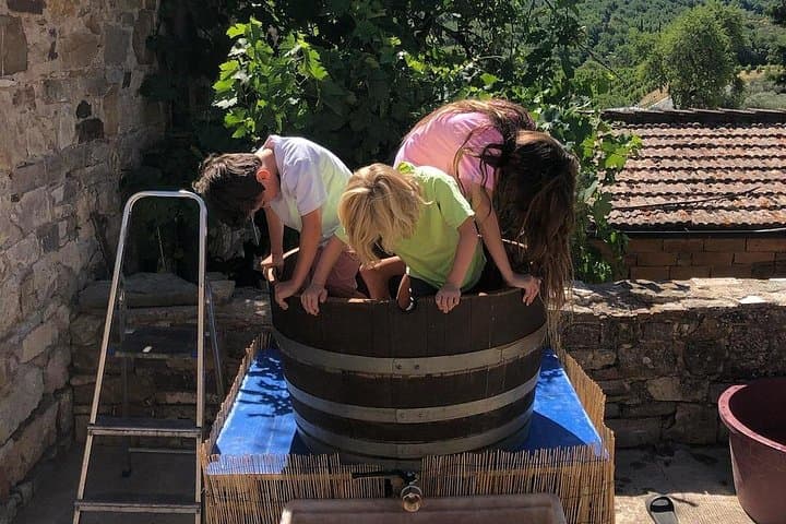 Grape Stomping Experience and Wine Tasting