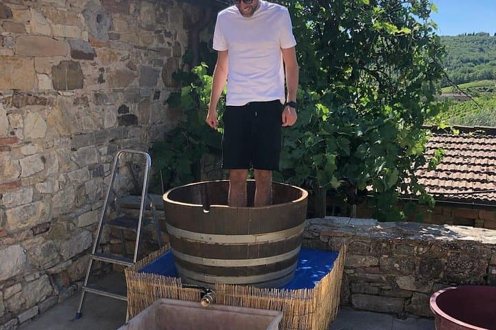 Grape Stomping Experience and Wine Tasting