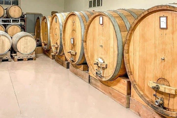 Cellar