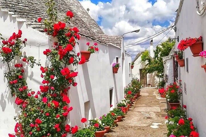 Alberobello & Local Winery Private Tour with Lunch&Tasting