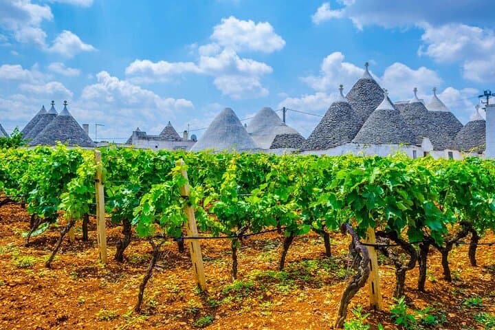 Alberobello & Local Winery Private Tour with Lunch&Tasting