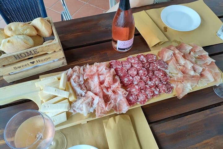 Wine tour and tasting of Valtenesi Wines in Salò