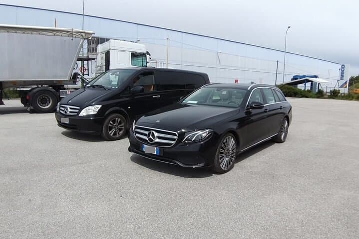 Venice Cruise Port to Venice (+ water taxi) - Private Transfer