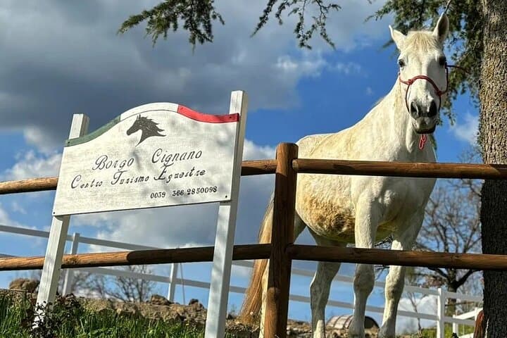 Wine and Horses