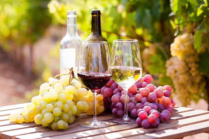 Wine tasting in the Vesuvius national park