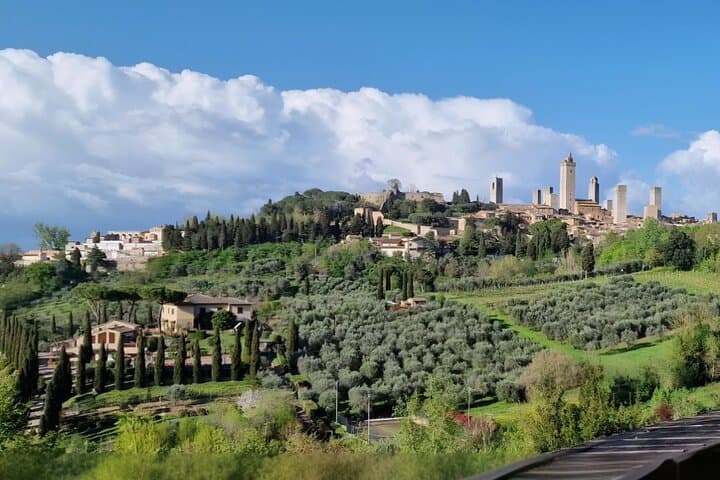 Private driver from Florence: Siena, San Gimignano, Pisa 12 hours