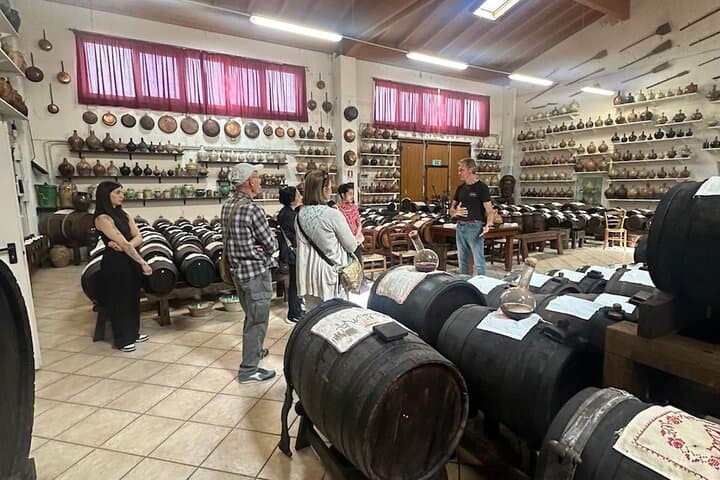 Parmesan and Balsamic Food Tour with Ferrari Museum