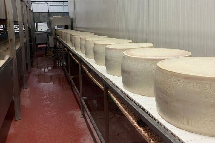 Parmesan and Balsamic Food Tour with Ferrari Museum