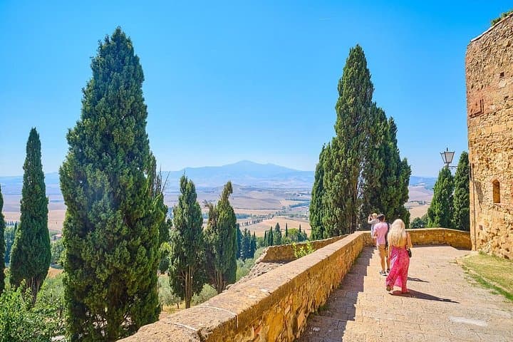 Val d'Orcia private tour: Montalcino, Pienza and Montepulciano