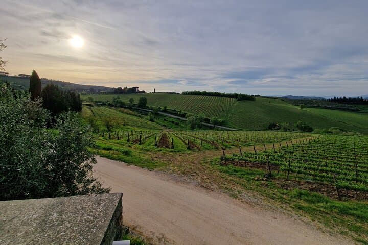 Private Wine Tour 2 top wineries of Chianti Classico Limo Service