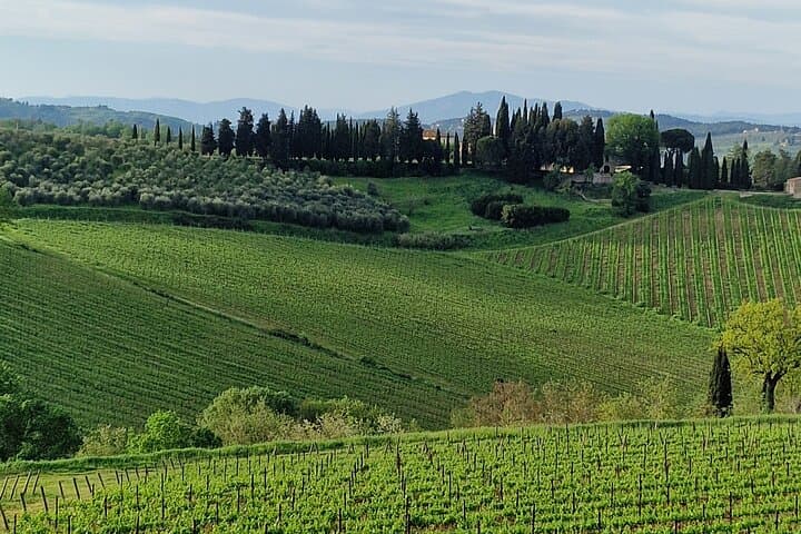 PRIVATE WINE TOUR TUSCANY Chianti Wineries, Expert English driver
