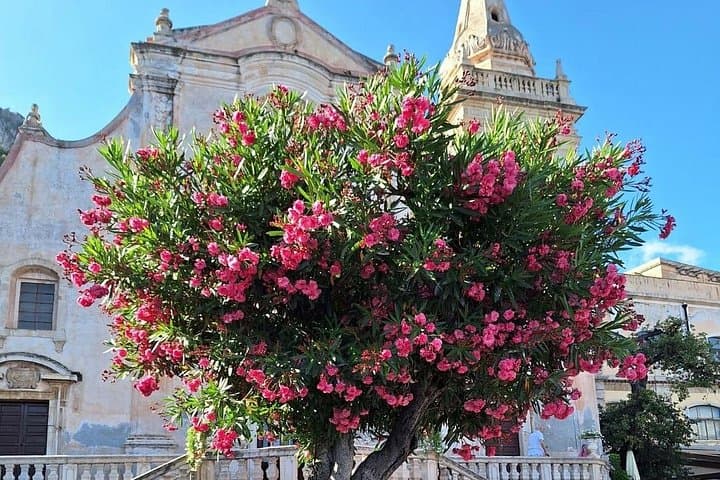 Half Day Private Tour to Messina Taormina and Castelmola