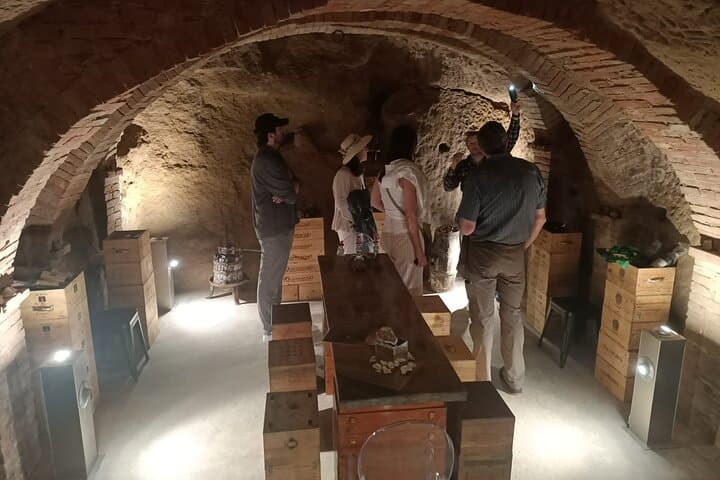 Siena walking tour with lunch & Chianti wine