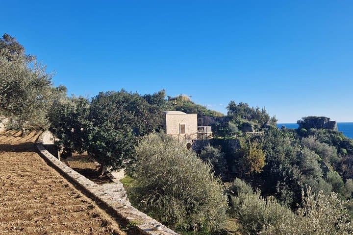 Visit to the Emerald Grotto with picnic in an olive grove.