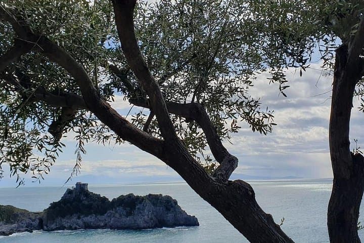 Visit to the Emerald Grotto with picnic in an olive grove.