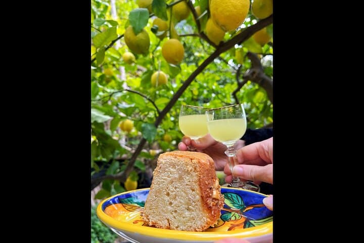 Organic Limoncello and Lemon Cake under the Sfusato Amalfitano lemons