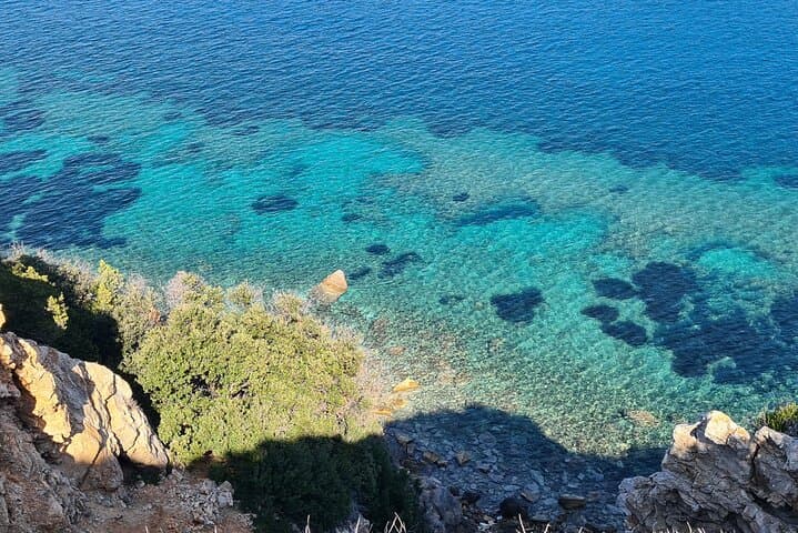 Giglio Campese