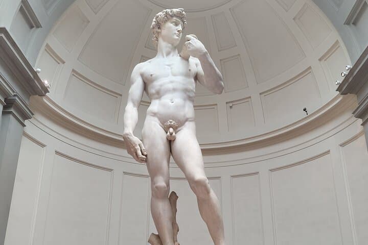 Michelangelo's David Accademia Gallery Small Group Tour