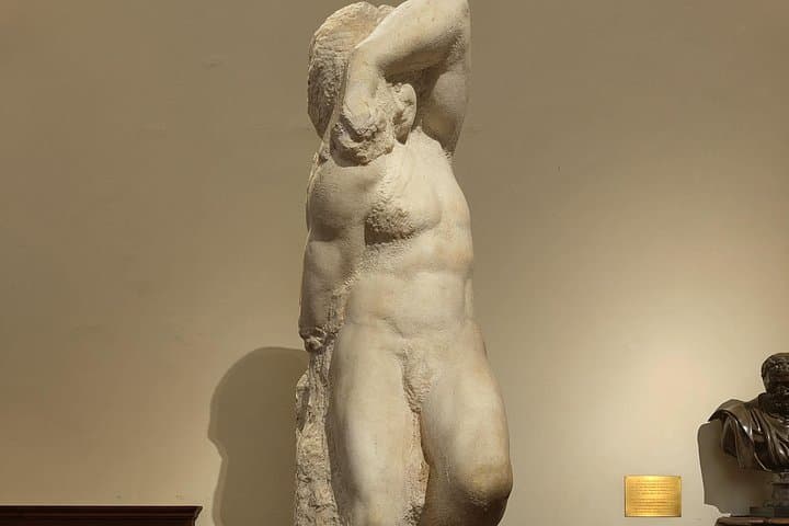 Michelangelo's David Accademia Gallery Small Group Tour