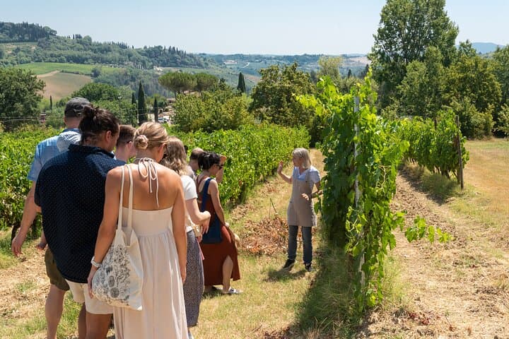 Wine Tour with Lunch and Wine Tasting