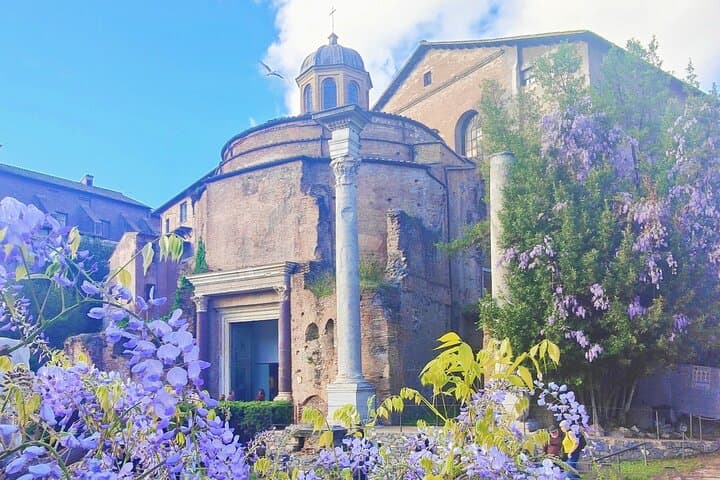 Rome: Guided Tour of the Roman Forum & Palatine Hill