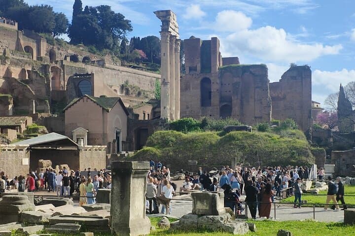 Rome: Guided Tour of the Roman Forum & Palatine Hill