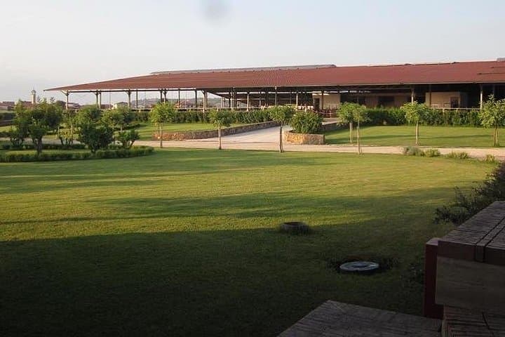 Guided tour of Tenuta Vannullo production of buffalo mozzarella in Paestum