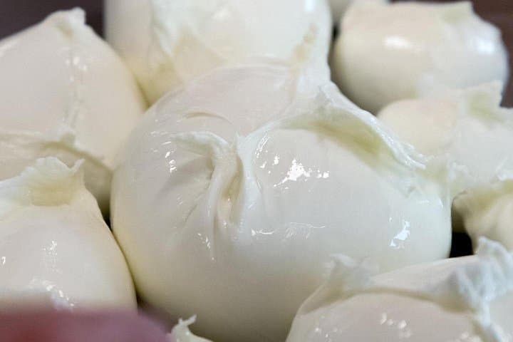 Tasting buffalo mozzarella