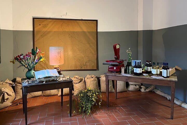 the vat room