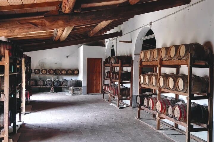 the vinsantaia