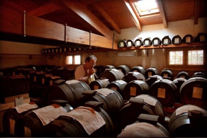 Modena: Visit and Gourmet Tasting of DOP and BIO Balsamic Vinegar