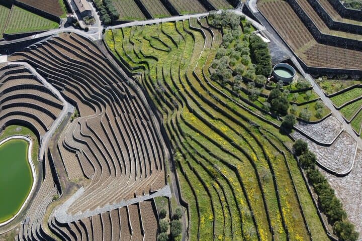 Private Etna Panoramic & wine tasting with food combination