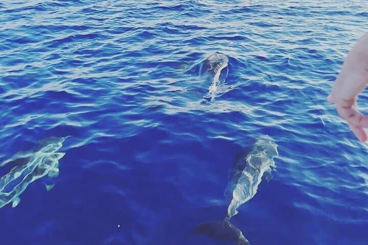 Taormina Dolfin 2-hour boat tour