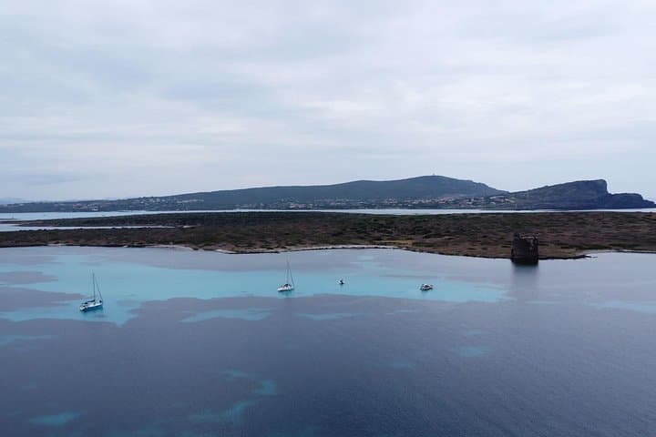 Asinara: Sailing trip in the park of Asinara