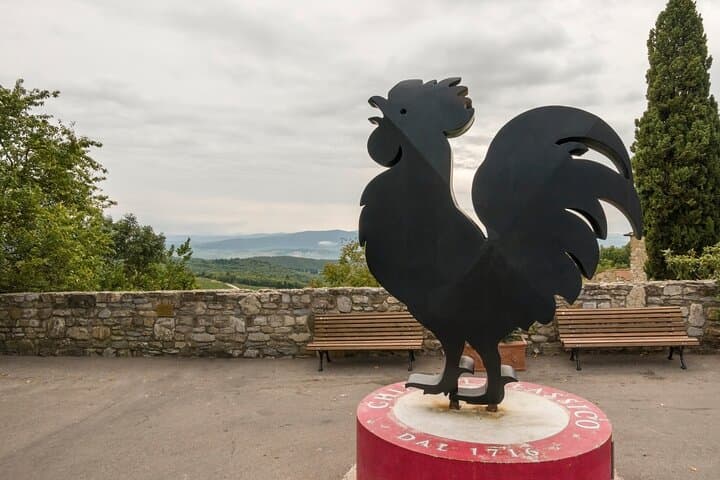 Chianti and Castles Tour from Siena Small Group