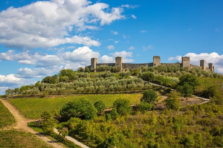 Chianti and Castles Tour from Siena Small Group