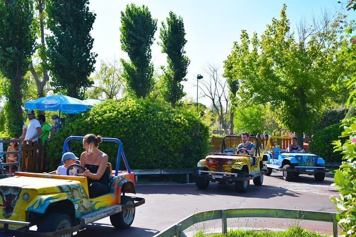 Cars