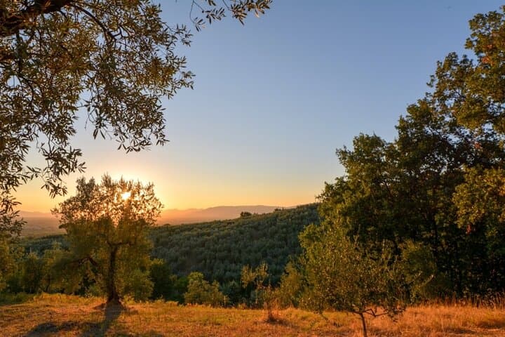 Vinci: Sunset Wine Tasting Dinner in a Tuscan Farm